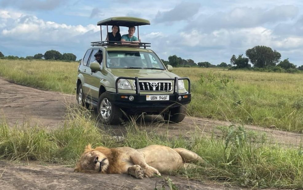 Find answers to common FAQ car rentals in Kigali. Learn about documents, age limits, insurance, vehicle types, cross-border travel, and booking tips