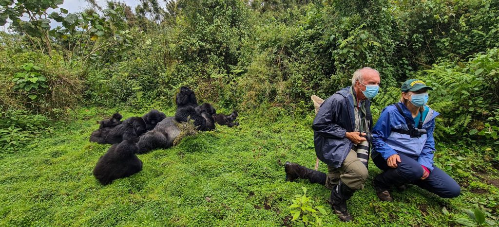 Mountain Gorilla Tours in Rwanda with Car Rentals Kigali