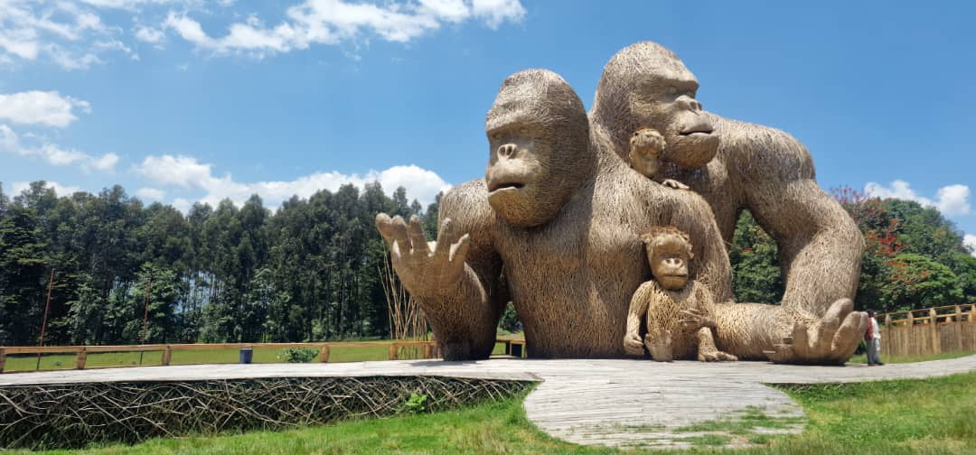 Book mountain gorilla tours in Rwanda with Car Rentals Kigali. Enjoy 4x4 rentals, guided treks, and permit support for your unforgettable gorilla adventure.