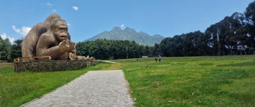 gorilla Rwanda car rental with Car Rentals Kigali. Choose a 4x4 for self-drive or guided treks to Volcanoes National Park. Start your adventure today!