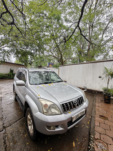 Photo from customer review