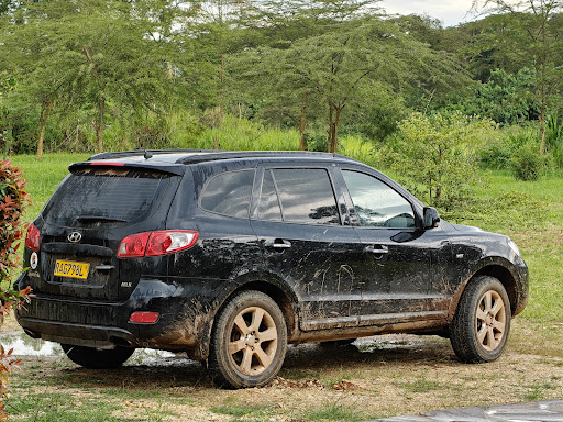 Photo from customer review