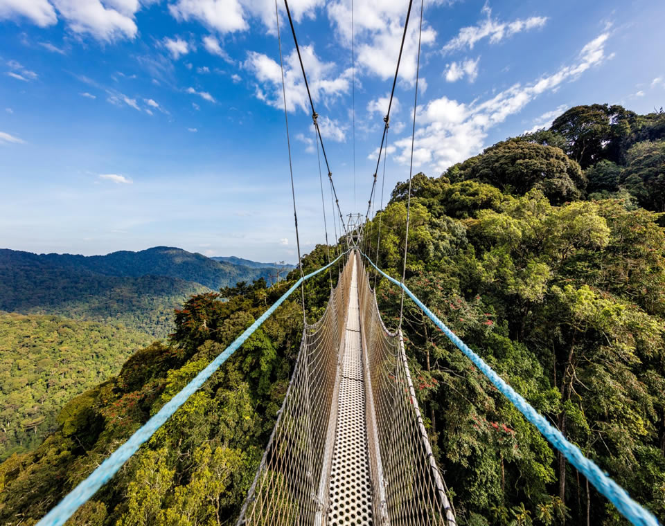 Kigali to Nyungwe by Rental Car | Self-Drive Route Guide Meta description: Plan a self-drive trip from Kigali to Nyungwe with route tips, travel time planning, vehicle recommendations, and booking advice.