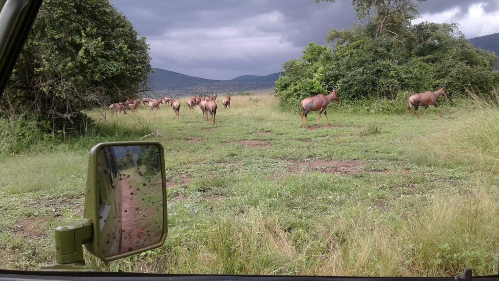 Discover the best weekend road trips car rentals Kigali, including scenic drives, nature spots, and easy getaways across Rwanda.