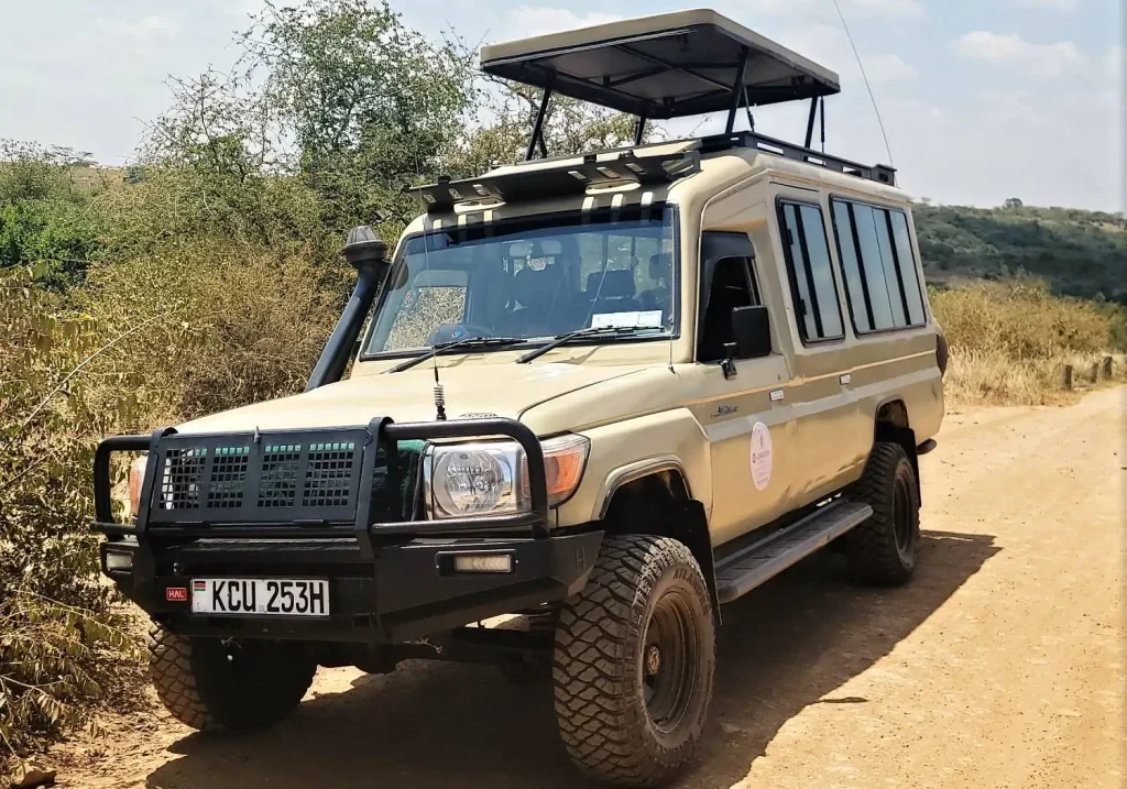 Book Kigali to Akagera car rental with safari-ready 4x4s and driver options. Ideal for day trips and overnight wildlife safaris.