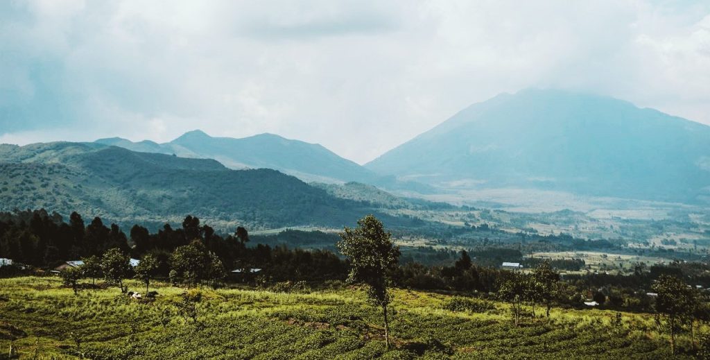 Rent a car from Kigali to Volcanoes National Park for gorilla trekking and hiking. 4x4 options, early pickups, and driver-guide service available.